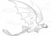 Disegni di Dragon Trainer da colorare