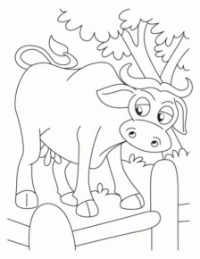 Disegno di mucca da stampare e colorare 86