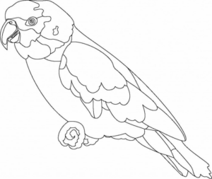 Disegno di pappagallo da stampare e colorare 163