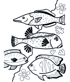Disegno di pesce da stampare e colorare 137