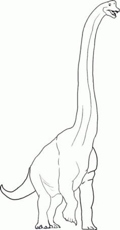 Disegno di Brontosauro da stampare e colorare 11