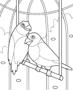 Disegno di pappagallo da stampare e colorare 68