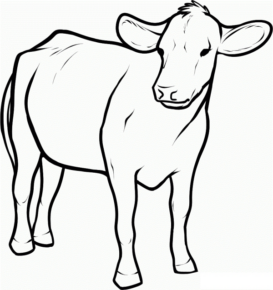Disegno di mucca da stampare e colorare 80