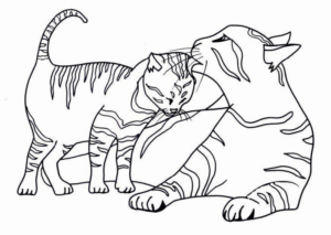 Disegno di gatto da stampare e colorare 253