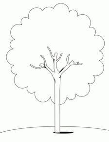 Disegno di albero da stampare e colorare 59
