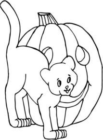 Disegno di gatto di halloween da stampare e colorare 11