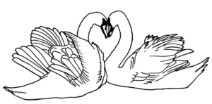 Disegno di cigno da stampare e colorare 5