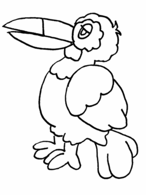 Disegno di tucano da stampare e colorare 33