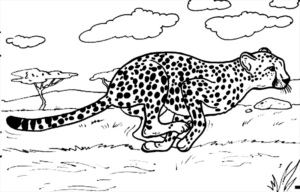 Disegno di leopardo da stampare e colorare 48