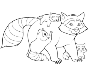 Disegno di procione da stampare e colorare 17