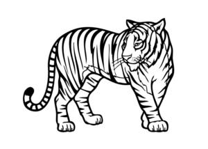 Disegno di tigre da stampare e colorare 20