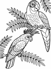 Disegno di pappagallo da stampare e colorare 157