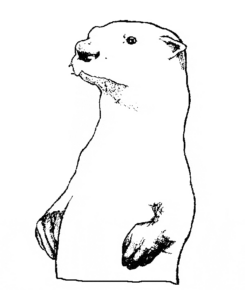 Disegno di lontra da stampare e colorare 20