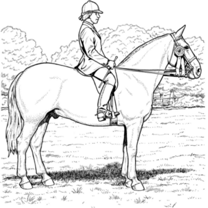 Disegno di cavallo da stampare e colorare 122