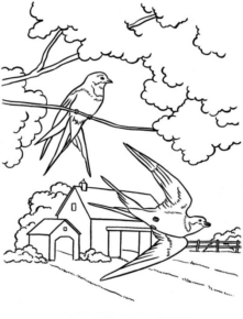 Disegno di uccello da stampare e colorare 37