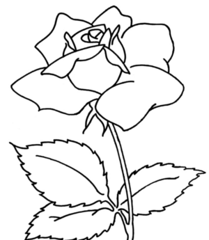 Disegno di fiore da stampare e colorare 175