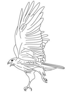 Disegno di uccello da stampare e colorare 30