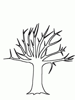 Disegno di albero da stampare e colorare 13