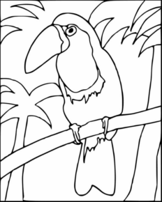 Disegno di tucano da stampare e colorare 21