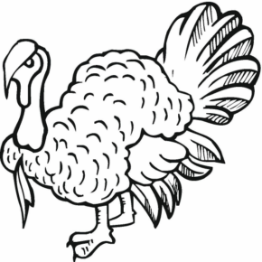 Disegno di tacchino da stampare e colorare 81