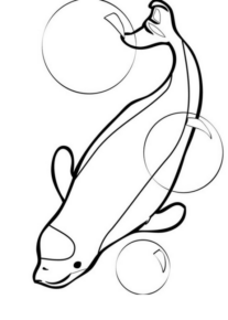 Disegno di delfino da stampare e colorare 34
