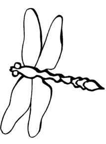 Disegno di libellula da stampare e colorare 39