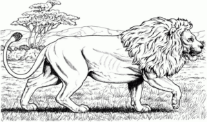 Disegno di leone da stampare e colorare 54