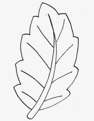 Disegno di foglia da stampare e colorare 209