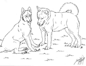 Disegno di lupo da stampare e colorare 32