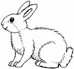 Disegno di coniglio da stampare e colorare 63