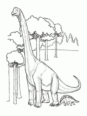 Disegno di Brontosauro da stampare e colorare 7