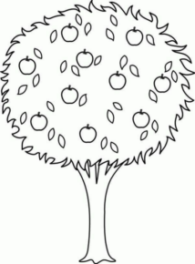 Disegno di albero da frutta da stampare e colorare 33