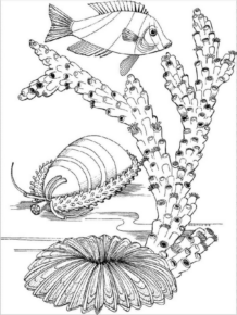 Disegno di pesce da stampare e colorare 183
