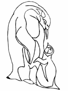 Disegno di pinguino da stampare e colorare 69