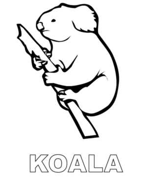 Disegno di koala da stampare e colorare 6