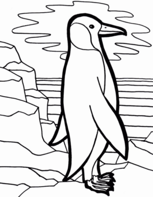 Disegno di pinguino da stampare e colorare 49