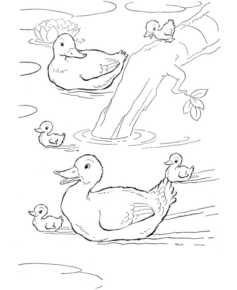 Disegno di papera da stampare e colorare 3