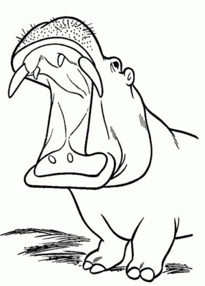 Disegno di ippopotamo da stampare e colorare 32