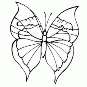 Disegno di farfalla da stampare e colorare 175