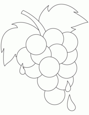 Disegno di uva da stampare e colorare 4