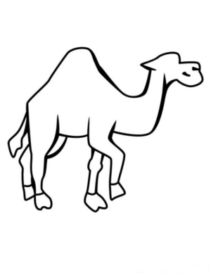 Disegno di dromedario da stampare e colorare 1