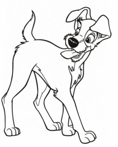 Disegno di Lilli e il Vagabondo da stampare e colorare 31 Disegno di Lilli e il Vagabondo da stampare e colorare 31