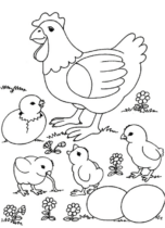 Disegni di Pulcini da colorare