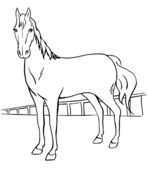 Disegno di cavallo da stampare e colorare 86
