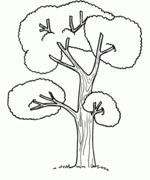 Disegno di albero da stampare e colorare 75