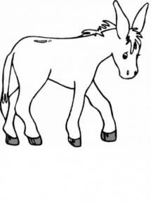 Disegno di asino da stampare e colorare 17