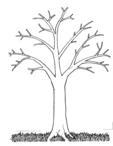 Disegno di albero da stampare e colorare 36