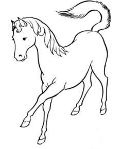 Disegno di cavallo da stampare e colorare 191