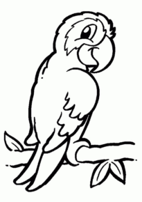 Disegno di pappagallo da stampare e colorare 12