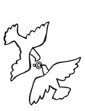 Disegno di colomba da stampare e colorare 40